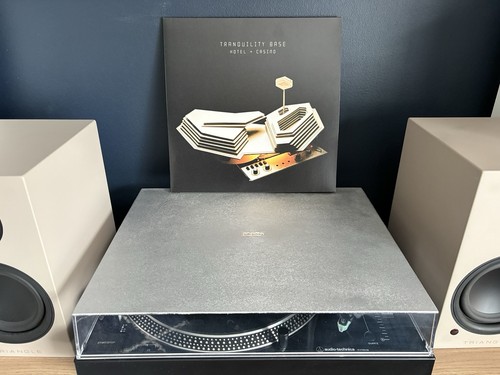 Arctic monkeys tranquility - monkeys,