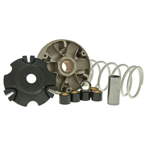 Variatore malossi multivar - variatore,