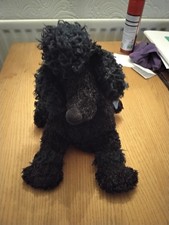 Raro barboncino nero 15