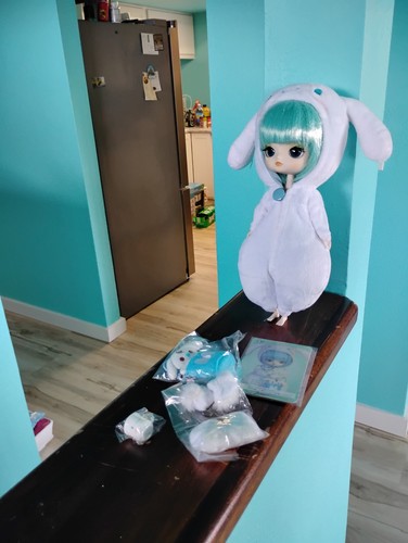 Jun planning pullip sanrio - jun,