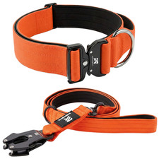 Rottmann Set Collare e