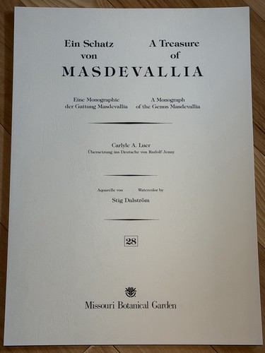 Treasure masdevallia - treasure,