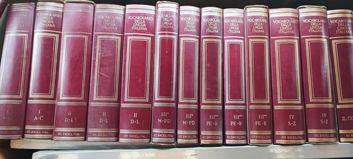 Vocabolario della lingua - vocabolario,