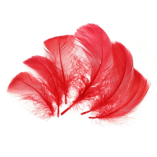 200 pcs piume rosse - piume, per