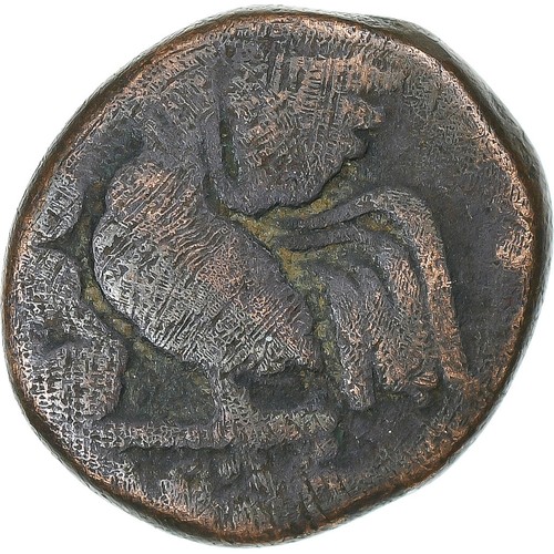 1273207 india francese - india,