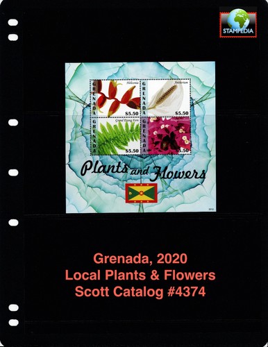Scott value 2020 - -,