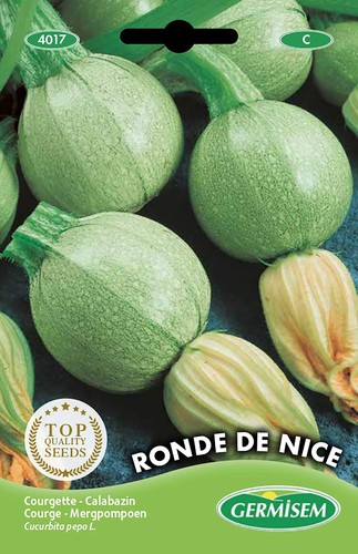 Courgette ronde nice semi - ronde,