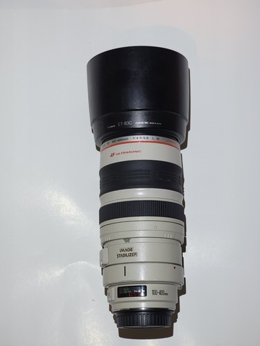 Canon 100 400 - mm, f/4.5-5.6l