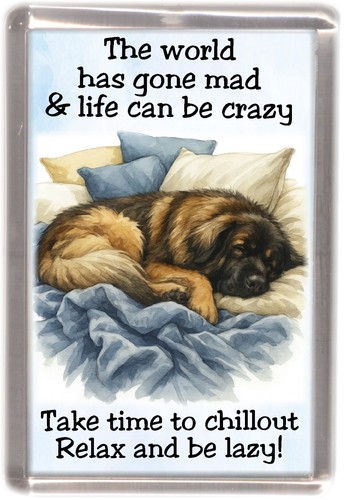 Calamita frigo per - , cani