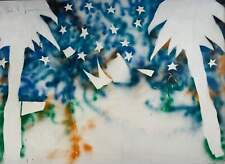 Oasi Stellata Mario Schifano Opera Unica Smalto Spray con Cornice 278x205