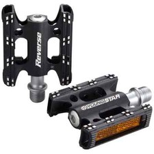 Reverse Youngstar Chiaro