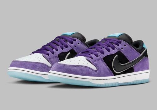 Hayley wilson nike - nike, sb