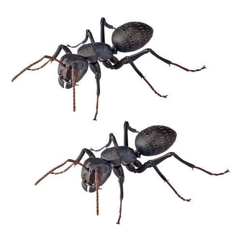 Kaiyodo revo geo camponotus - revo,