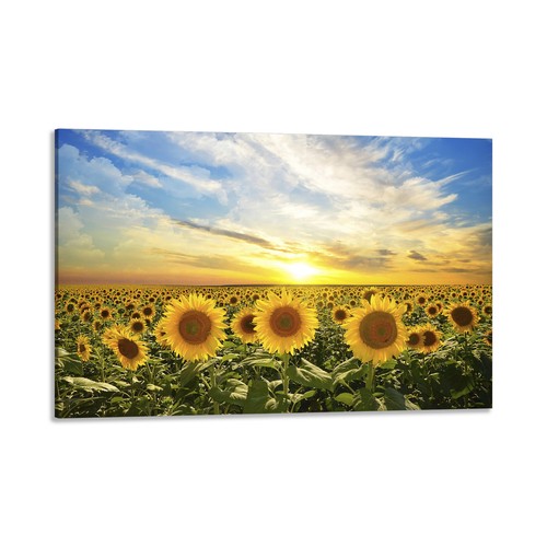 Quadro stampa tela con - su,