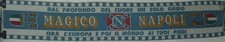 SCIARPA SCARF CALCIO BUFANDA SCHAL ULTRAS NAPOLI DOPPIO PANNO (424)