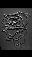 quadri, fatti a mano, scultura , rosa ,la bella la bestia , principesse ,fiori