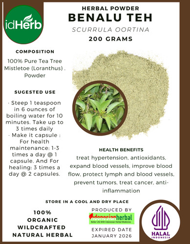 500 scurrula oortina erbe - scurrula,