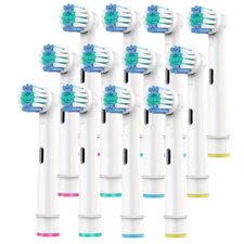 12 TESTINE SPAZZOLINO