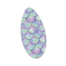 Skimboard portable pour sports