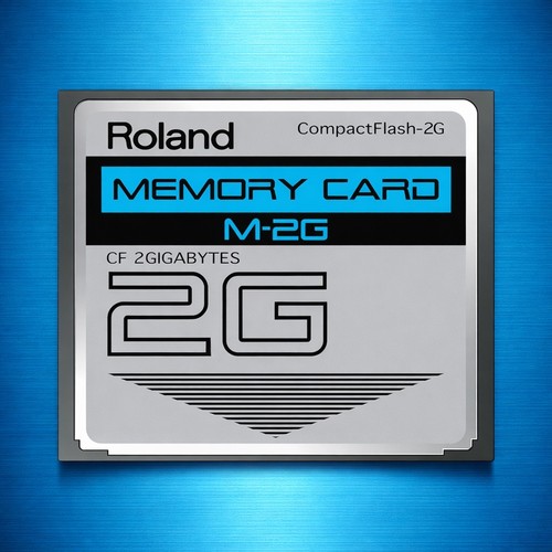 Scheda memoria roland gb - di,