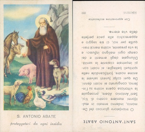 Santino sant antonio abate - santino,