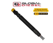 Delphi Iniettore Iniettore