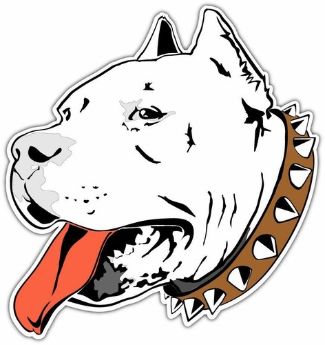 Adesivo pitbull terrier - pitbull,