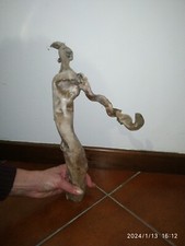 Radice legno Decoro Per