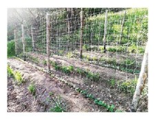 RETE SUPPORTO PER RAMPICANTI