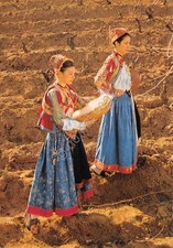 Cartolina Costumi Tradizionali