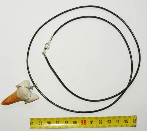 Collana sospensione dente - a,