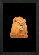 Quadro Stampa su Tela Poster