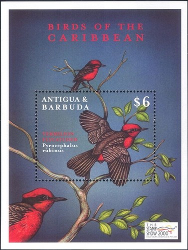 Antigua barbuda 2000 - antigua,
