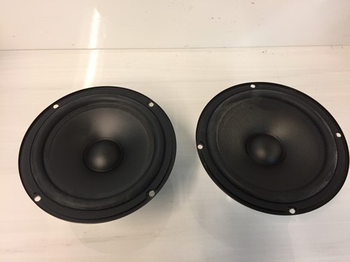 Coppia woofer altoparlanti