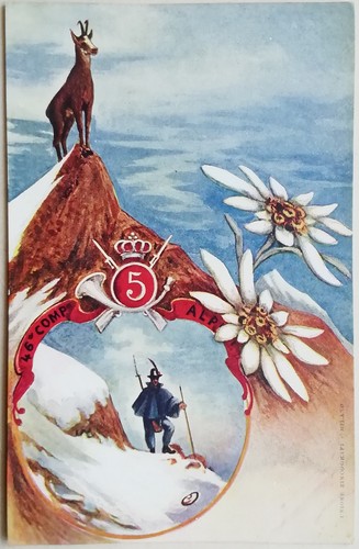 Cartolina reggimento alpini - 5,