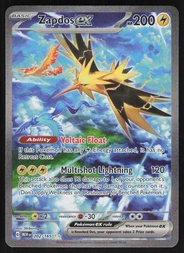 Zapdos holo 202 - zapdos,