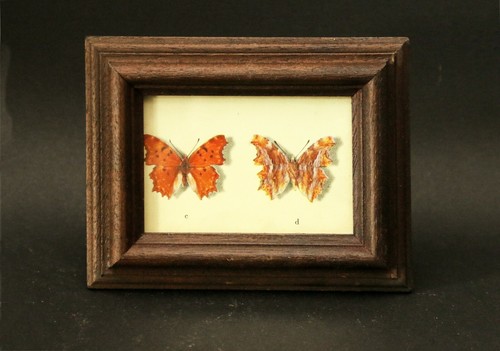 Quadretto cornice legno - cornice, /