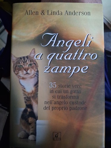 Anderson angeli quattro - anderson,