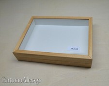 scatola entomologica legno CHIARA 23X30 plastazote entomologia cassetta insetti