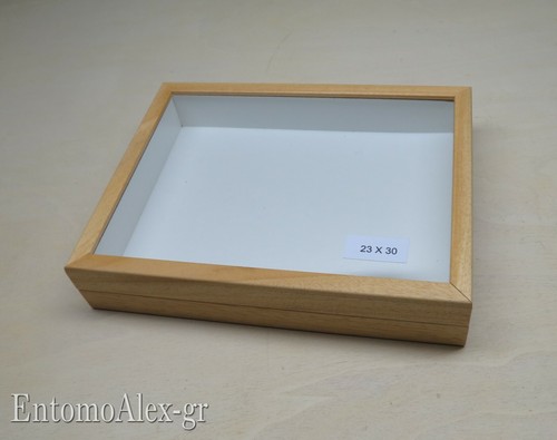 Scatola entomologica legno - scatola,