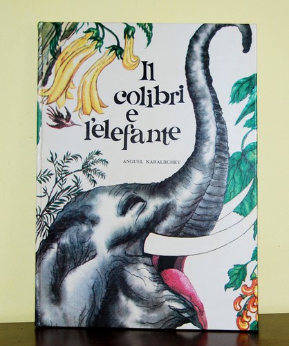 Colibri elefante - colibri, •