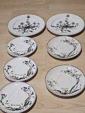 villeroy boch piatto botanica / 2 piatti / 3 piccoli / 2 medi / 7 piatti