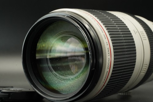 Canon 100 400 5 - ef, f/4.5-5.6