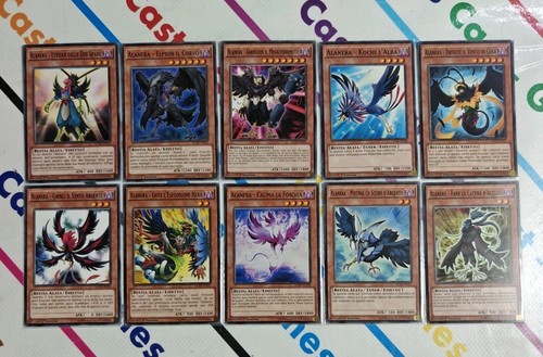 Lotto carte alanera comuni - 10,