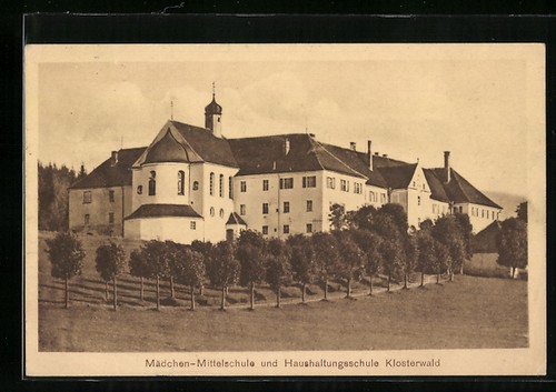 Wald hohenzollern scuola - ak, /