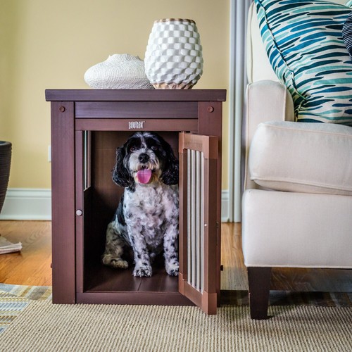 Box per cani - ,