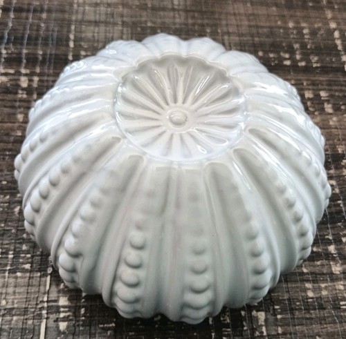 Decorazione riccio mare in - decorazione,