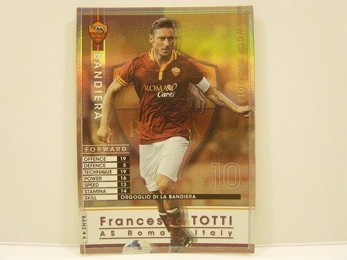 Panini wccf 2013 - panini,