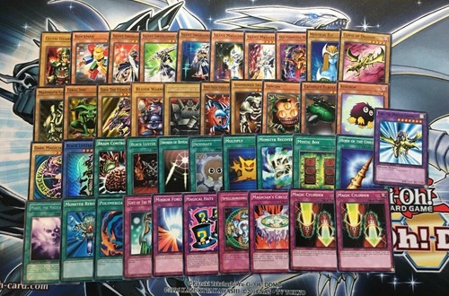 Mazzo regno duellante - mazzo,