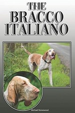 Bracco italiano a - bracco,